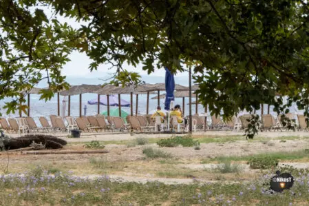 6 Αυγούστου 2025 